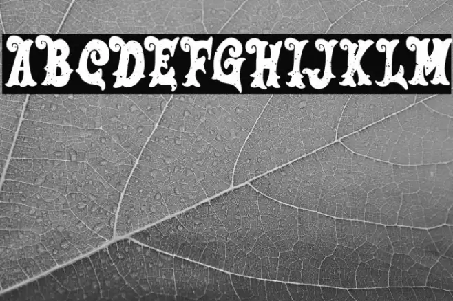 SalmonFREE Font examples