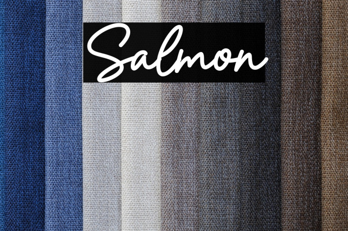 Salmon Example 1