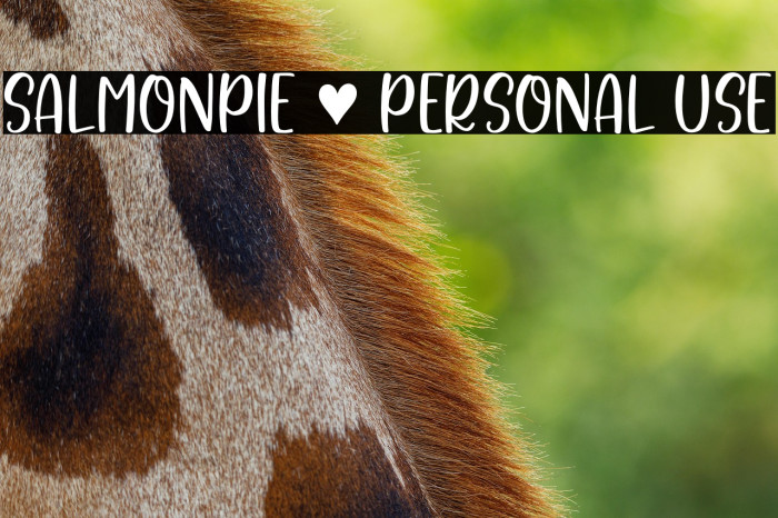 Salmonpie - Personal Use Example 1
