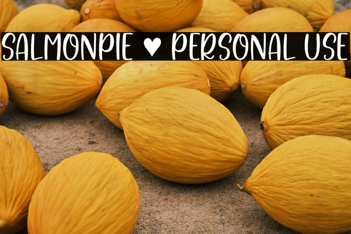 Salmonpie - Personal Use Example 3