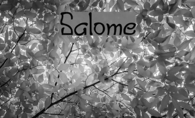 Salome Font examples