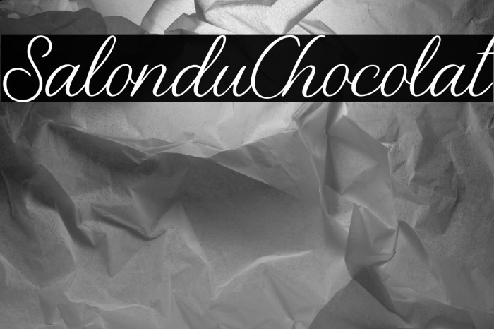 Salon du Chocolat Example 2