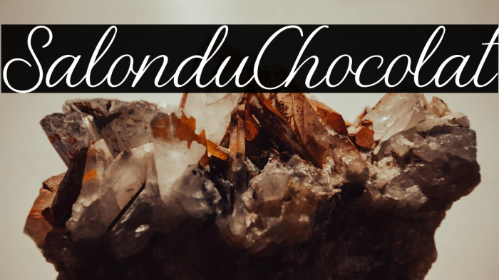 Salon du Chocolat Example 3