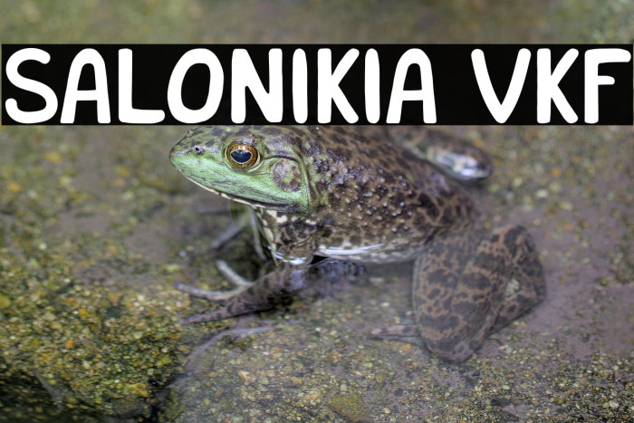 Salonikia VKF Example 1