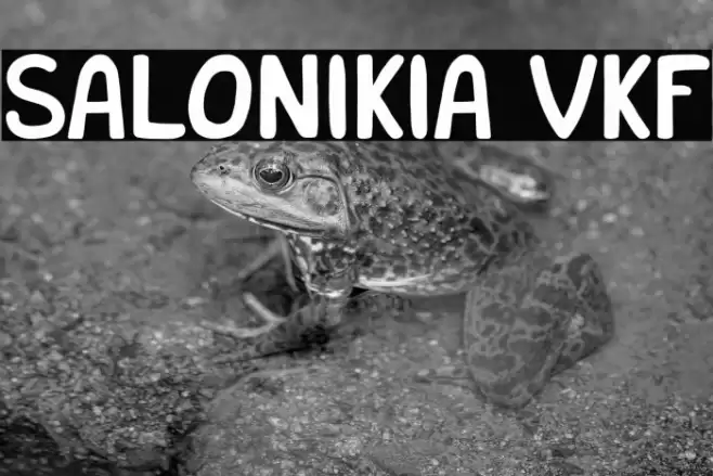 Salonikia VKF Font examples