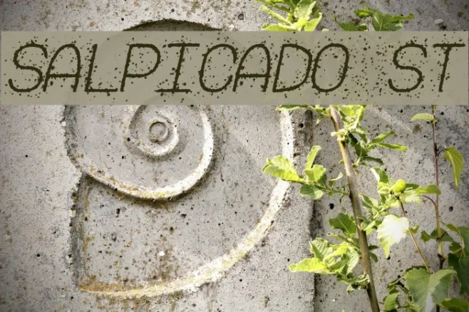 Salpicado St Example 3