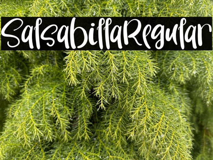 SalsabillaRegular Example 2
