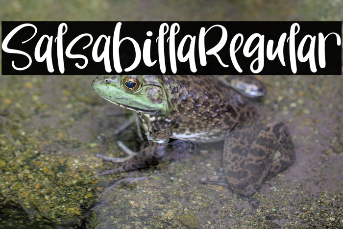 SalsabillaRegular Example 3