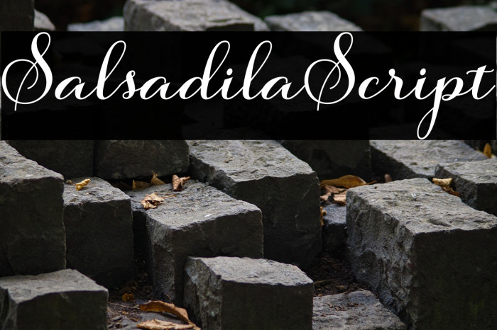 SalsadilaScript Example 2