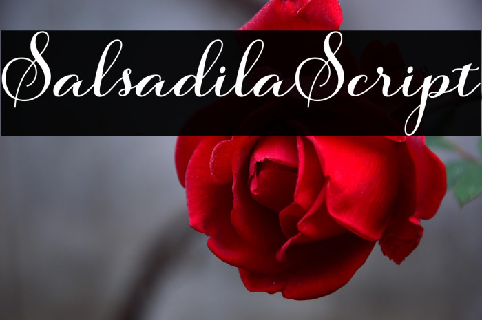 SalsadilaScript Example 3