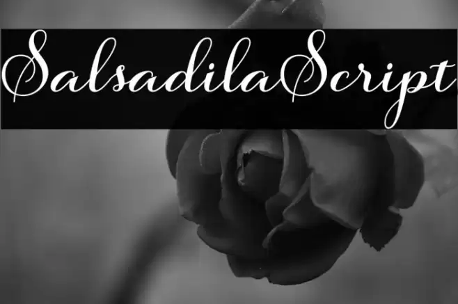SalsadilaScript Caratteri examples