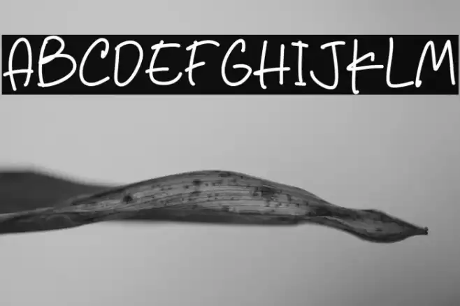 Salt Coke Font examples