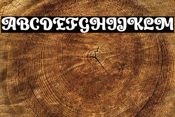 Salt Debris personal use Example 3