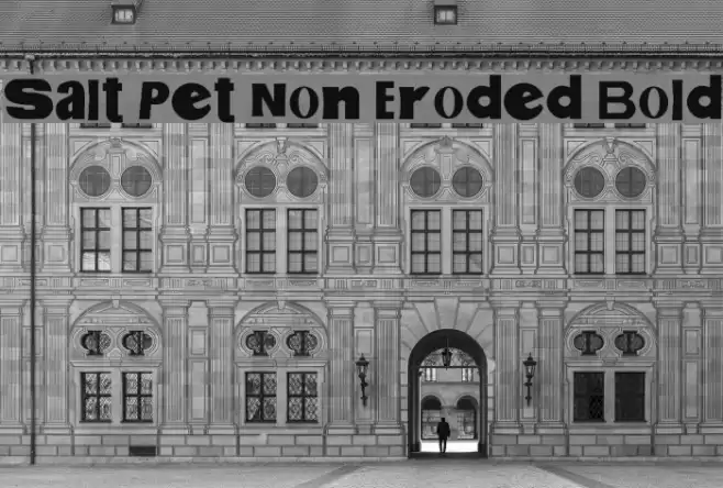 Salt Pet Non Eroded Bold Font examples