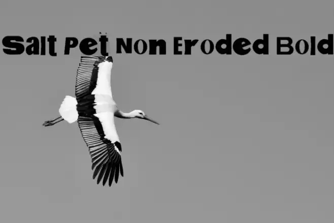 Salt Pet Non Eroded Bold Font examples