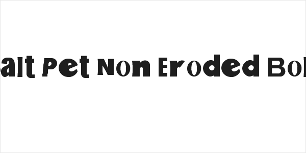 Salt Pet Non Eroded Bold Logo