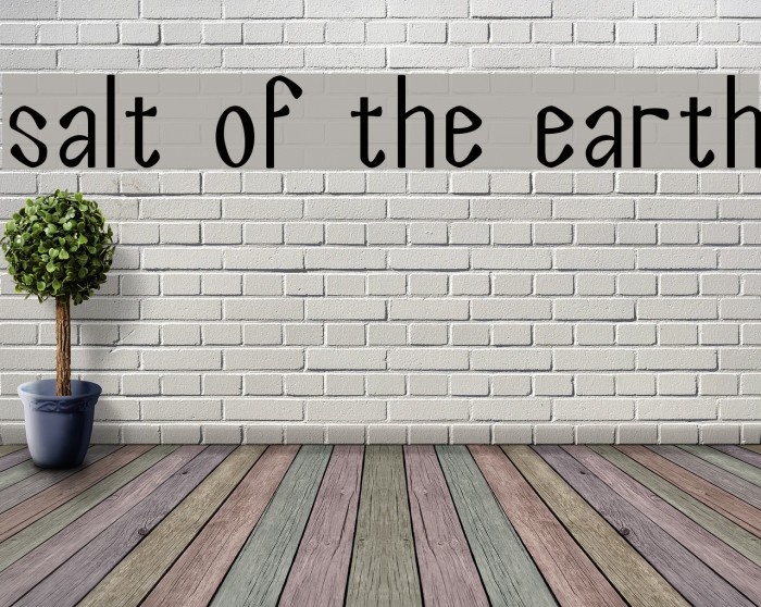 Salt of the Earth Example 1