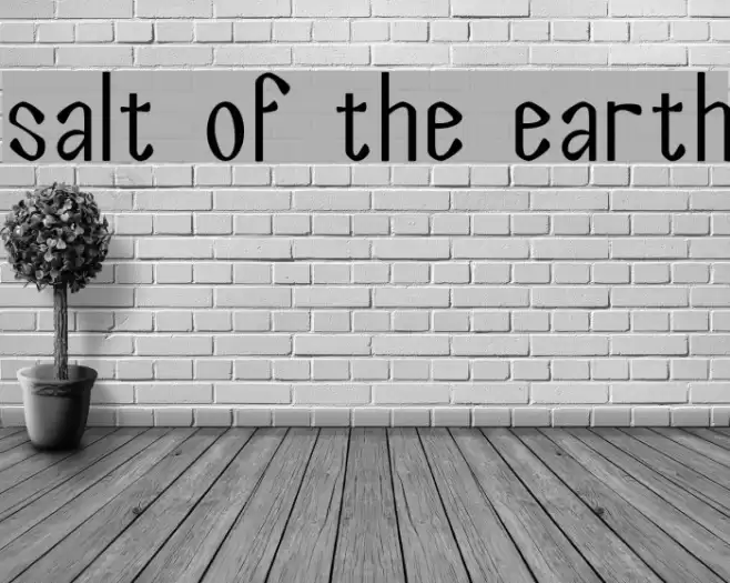 Salt of the Earth Font examples