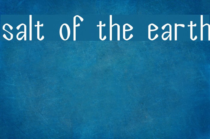 Salt of the Earth Example 3