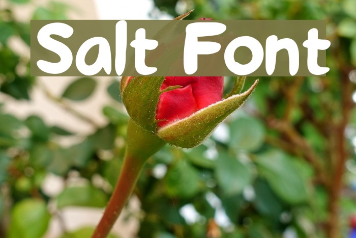 Salt Font examples