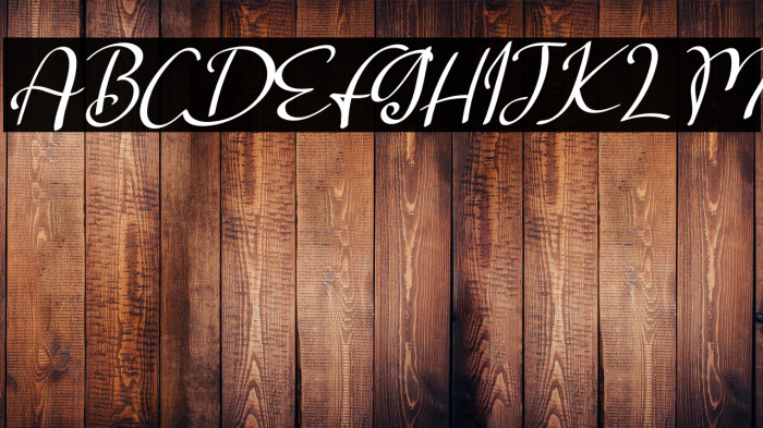 Salta Italic Example 1