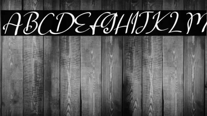 Salta Italic Font examples