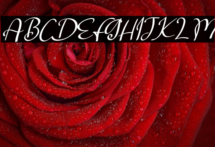 Salta Italic Example 2