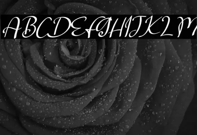 Salta Italic Font examples