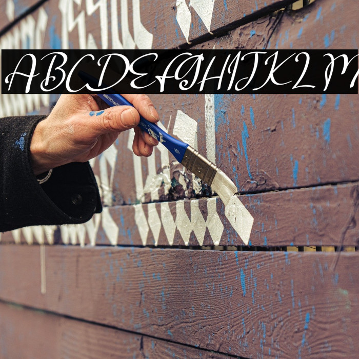 Salta Italic Example 3