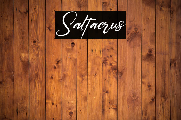 Saltacrus Example 1