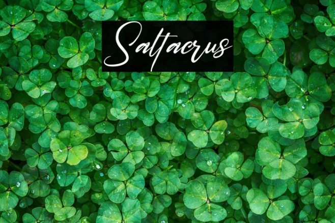 Saltacrus Example 2