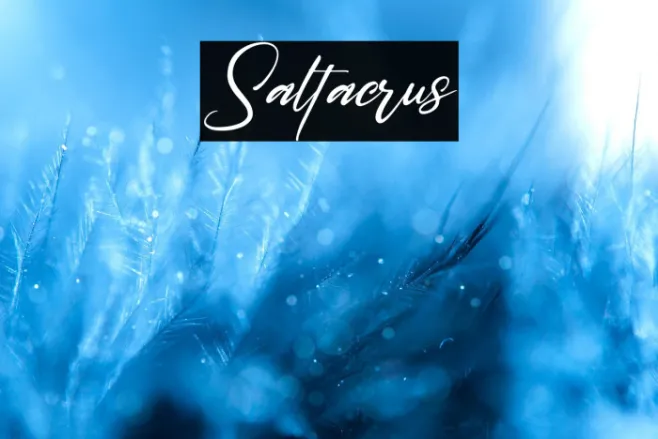 Saltacrus Example 3