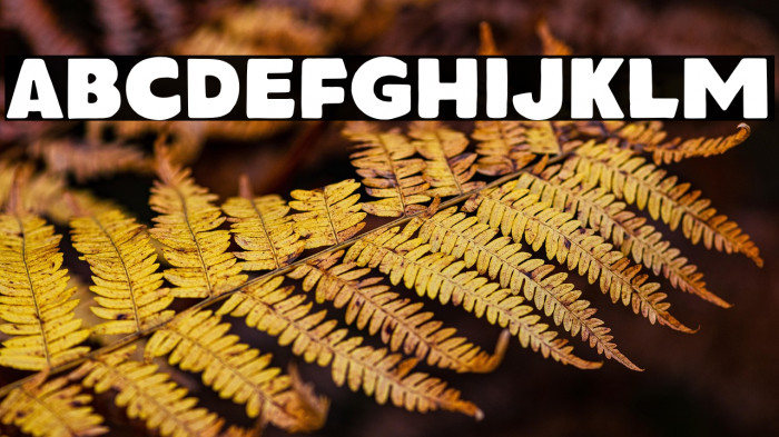 SaltburgDEMO Example 3