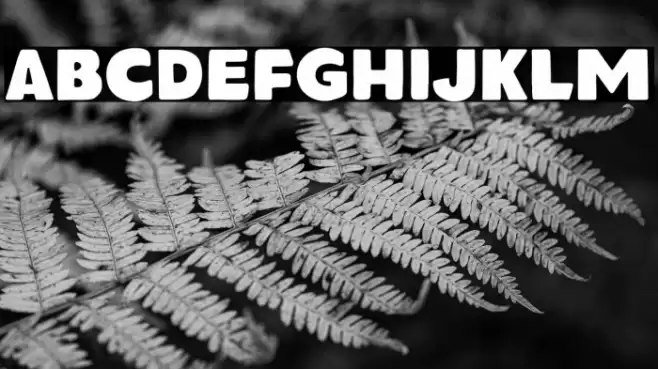 SaltburgDEMO Font examples