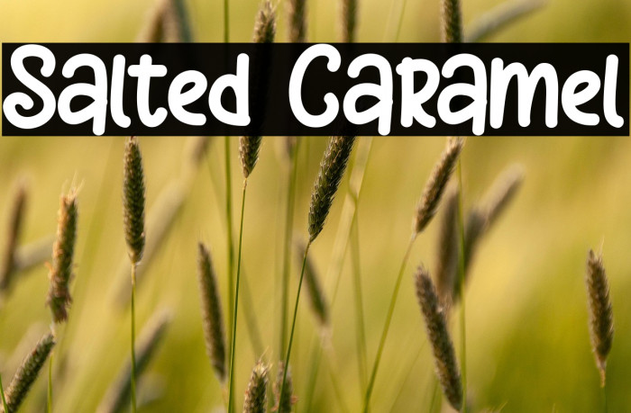 Salted Caramel Example 1