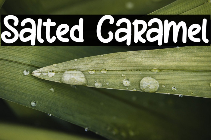 Salted Caramel Example 2