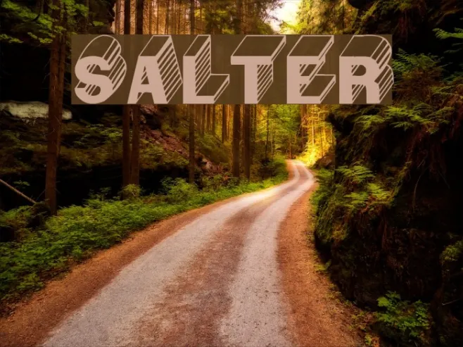 Salter Example 2