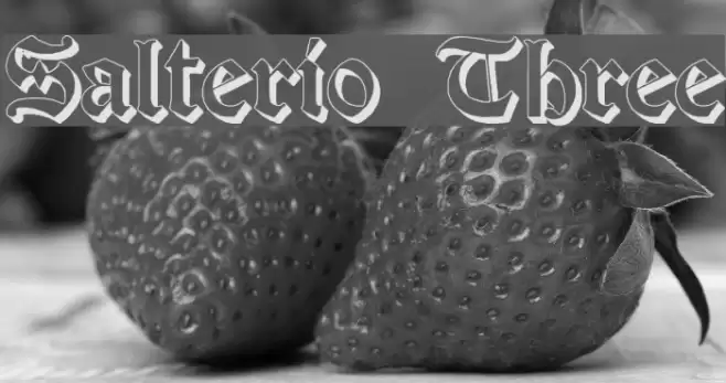 Salterio Three Font examples