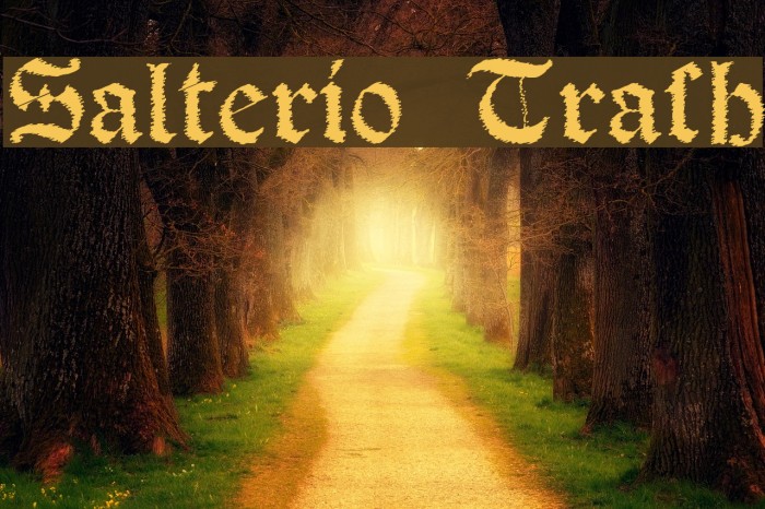 Salterio Trash Font examples