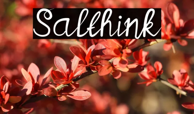 Salthink Example 1