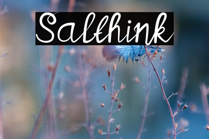 Salthink Example 2