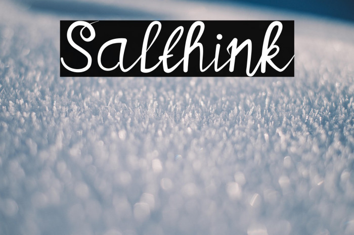 Salthink Example 2