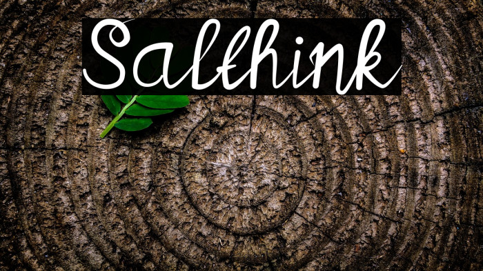 Salthink Example 3