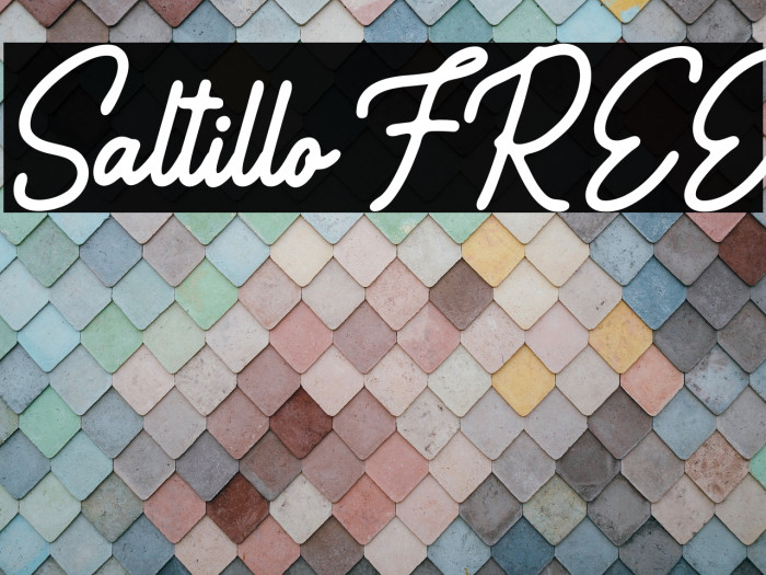 Saltillo FREE Example 1