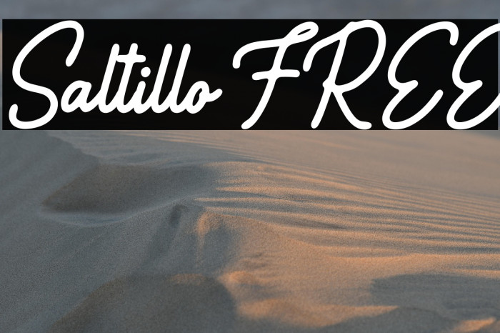 Saltillo FREE Example 2