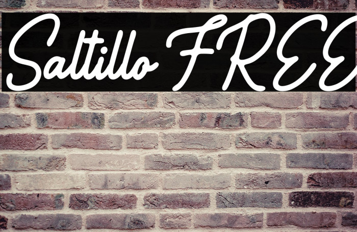 Saltillo FREE Example 3