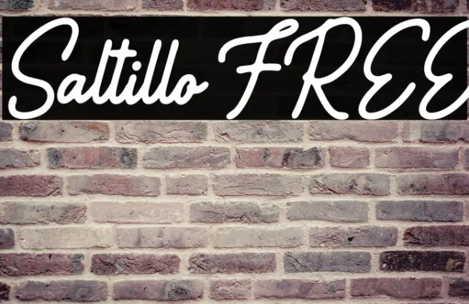 Saltillo FREE Example 3