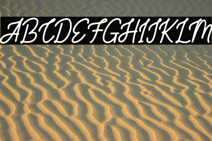 SaltilloFREE Example 1