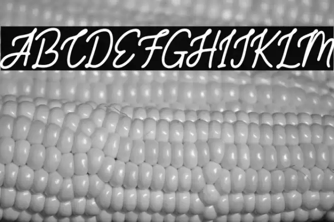 SaltilloFREE Font examples