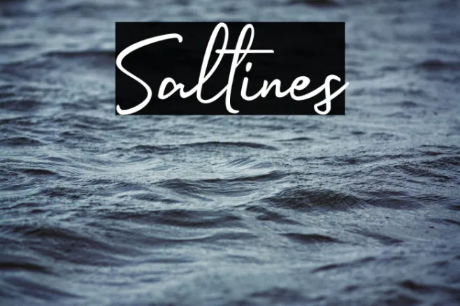 Saltines Example 2